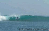 surfing-at-macaronis-island