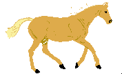 Gambar kuda lari